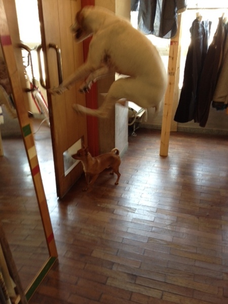 20130515_021442.JPG
