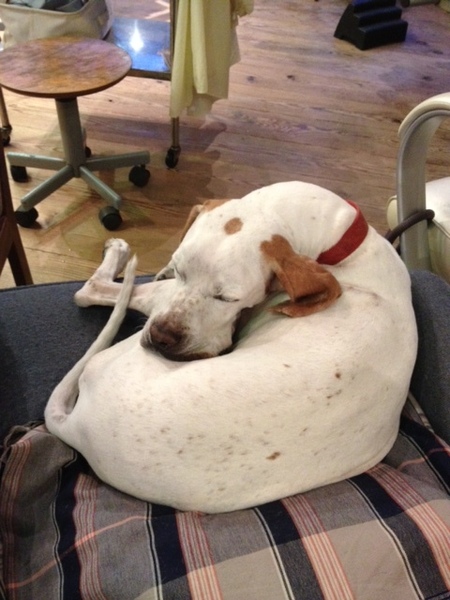 20130918_224516.JPG