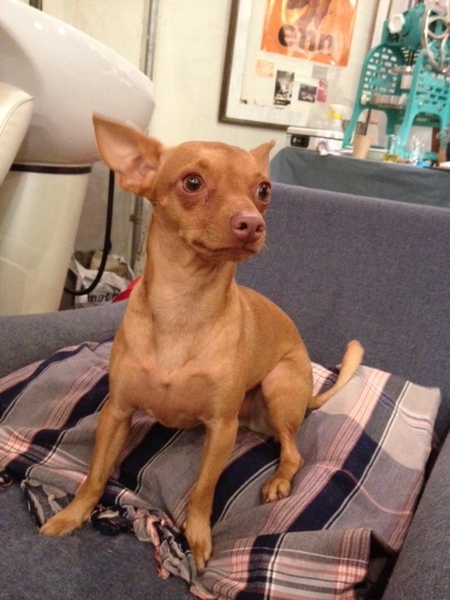 20130918_224555.JPG