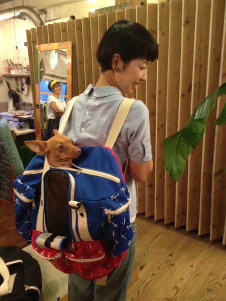 20130918_224712.JPG