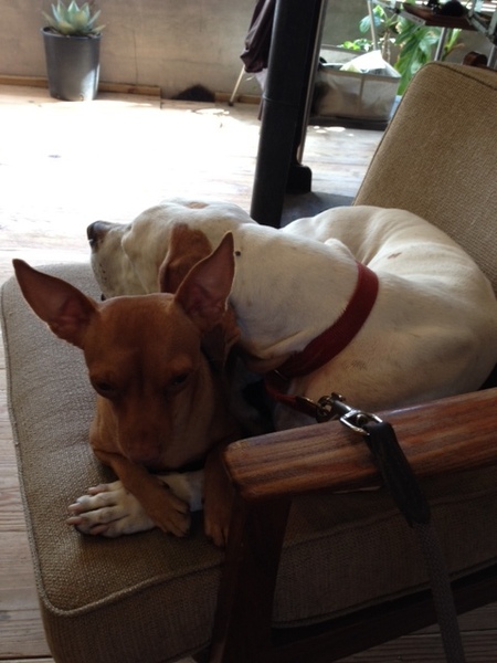 20130918_230949.JPG