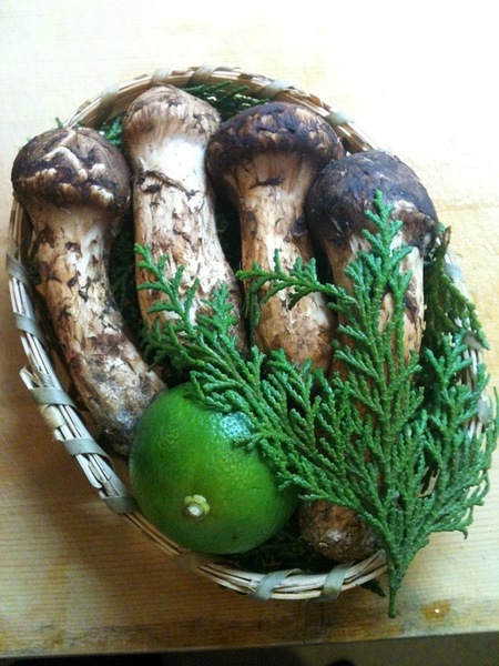 matsutake.jpg