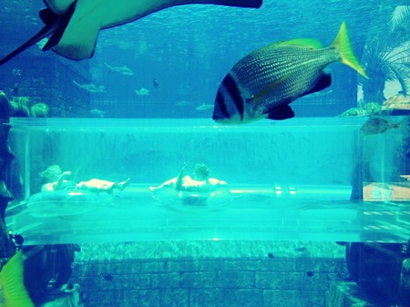 aquarium.JPG
