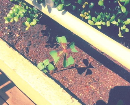 写真(97).JPG