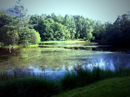 lake.JPG