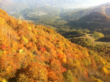 Kaeri-ropeway.JPG