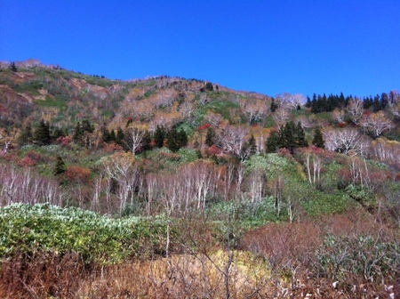 shirakaba-sora.JPG
