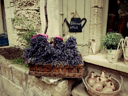 beaux shop.JPG