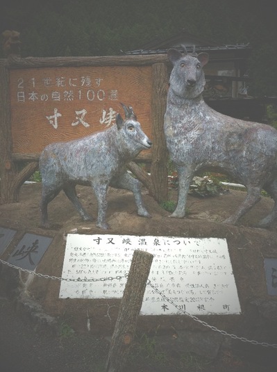 画像 452.jpg