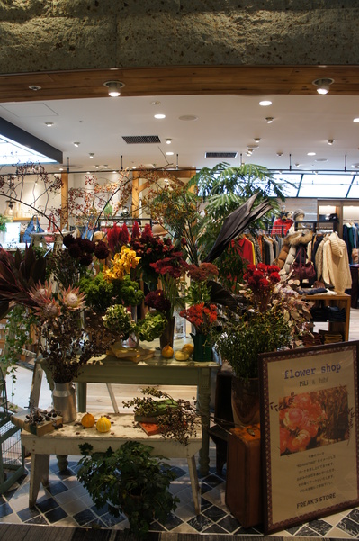 DSC02138.JPG