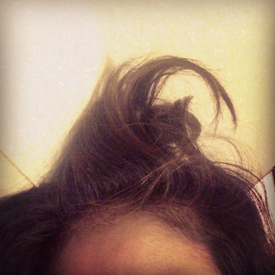 20130704_120016.jpg