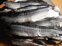 sanma4.jpg