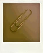 DVC00225-pola.jpgのサムネール画像