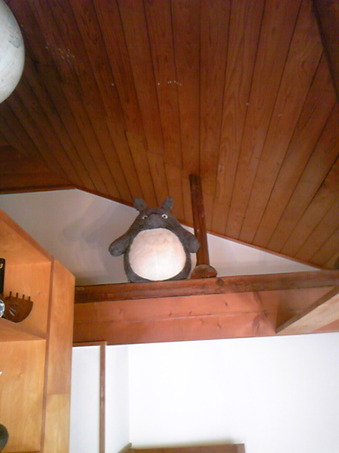 DVC00375.JPG