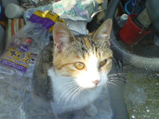 20070428134942.jpg