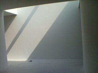 20080312102526.jpg