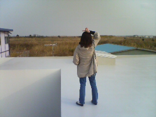 20080312153743.jpg