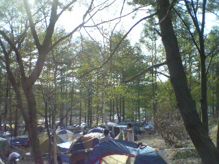 20080504153314.jpg
