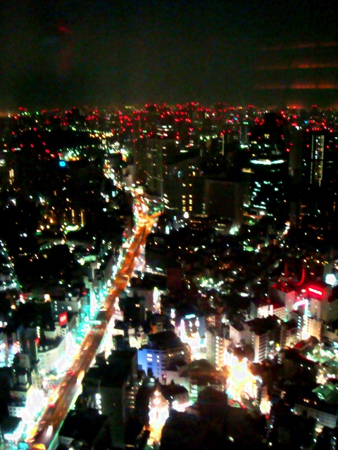 DSC04039.JPG