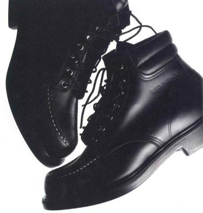 REDWING.jpg