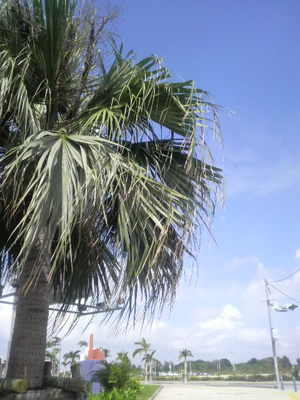 P1000521.JPG