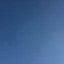 1月10日（日）