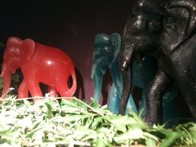 elephant.jpg
