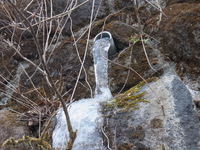 RIMG2191.JPG