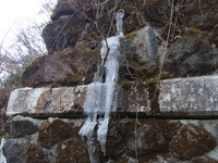 RIMG2193.JPG