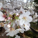 0325
