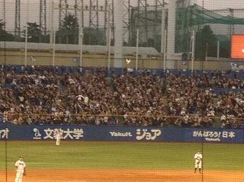 tr_130523004.JPG