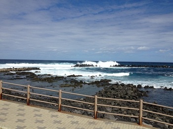 tr_131009004.JPG