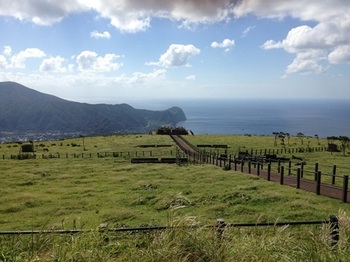 tr_131009006.JPG