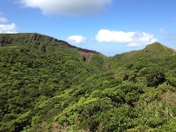 tr_131009007.JPG