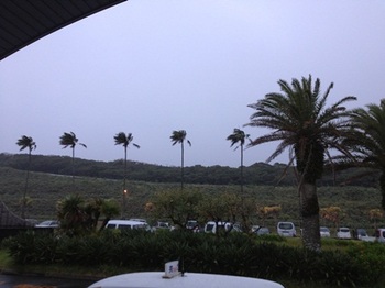 tr_131009013.JPG