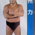 手ブラ派？