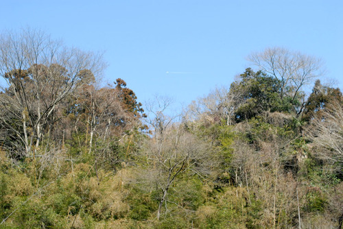 DSC_1489.JPG