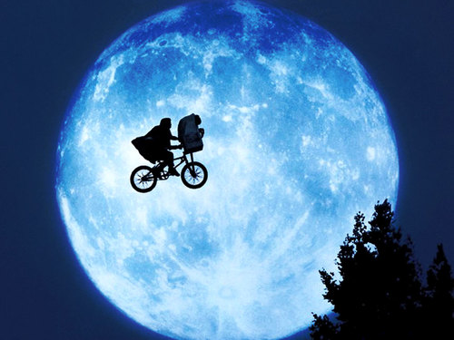 et01_b.jpg