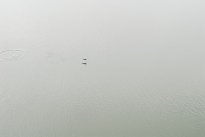 DSC_0042.JPG