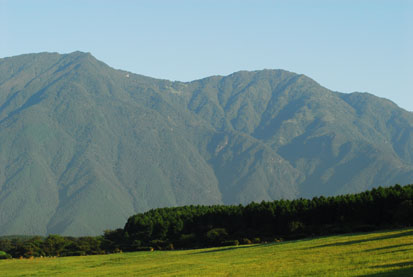 DSC_0096.JPG
