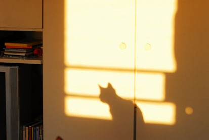 DSC_0106.JPG
