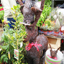 Columbia Road Flower Market