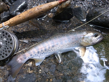 20120712　①.JPG