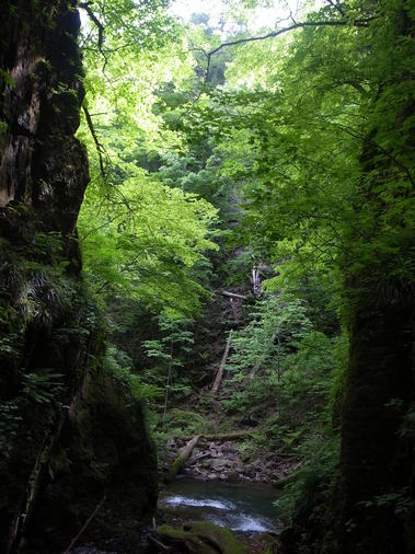 20120712　③.JPG