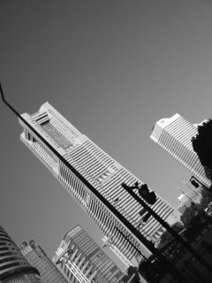 081101_1110~01.jpg