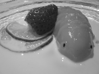 081203_2113~01.jpg