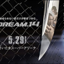 DREAM 14