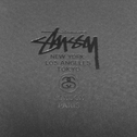 STUSSY 2011 SPRING&SUMMER LOOK BOOK