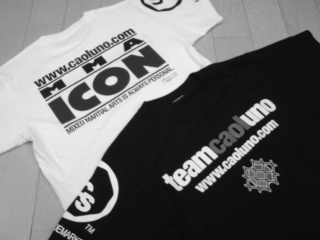 MMAICON.jpg