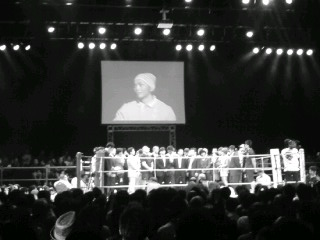shooto8.jpg